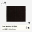 【ふるさと納税】 【山形緞通】MANYO - YORU (L) [oc-myyol]