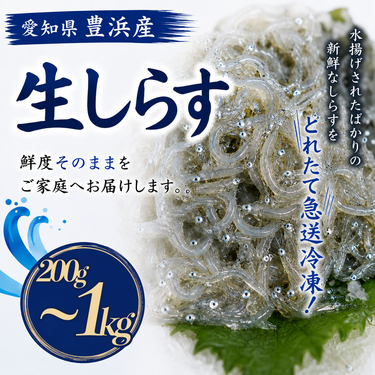 【ふるさと納税】容量選べる 訳あり 生しらす 200g~1kg 小分け 簡易包装 小分け 冷凍 便利 簡単 パック 生しらす シラス 生しらす丼 しらす お刺身 海鮮丼 しらす丼 生しらす 生姜 醤油 生しらす シラス 新鮮 海鮮 愛知県 南知多町 愛知県 南知多町