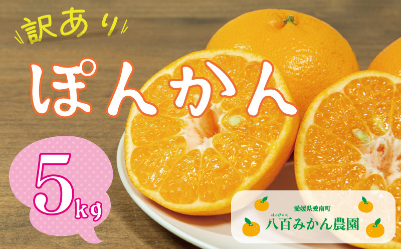 
                  【先行予約：2027年1月下旬～】訳あり ポンカン 5kg 7000円 ぽんかん みかん mikan 蜜柑  ミカン 家庭用 産地直送 国産 農家直送 防腐剤不使用 糖度 期間限定 数量限定 特産品 ゼリー ジュース アイス 人気 限定 甘い 果実 果肉 フルーツ 果物 柑橘 先行 事前 予約 受付 ビタミン 健康 美味しい おいしい ジューシー  サイズ ミックス 八百みかん農園 愛南町 愛媛県
                