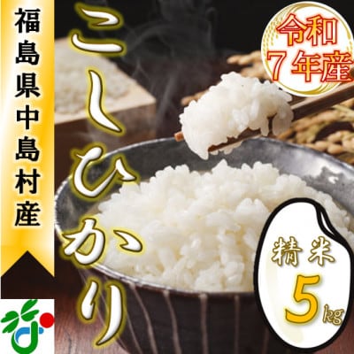 【新米/令和7年産】中島村産『コシヒカリ』(精米)5kg【1633130】