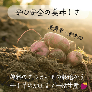 茨城県産 紅はるか 天日干しほしいも訳あり500g【国産 干し芋 無添加 おやつ 和スイーツ さつまいも 自然食品 人気 サツマイモ 和菓子 ヘルシー 水戸市】（NM-5）