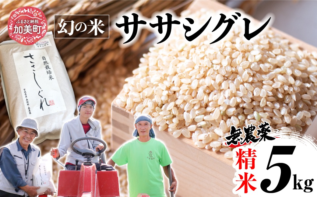 【新米予約】《 希少品種米 》 米 令和8年 宮城県産 ササシグレ ( 栽培期間中農薬・肥料不使用 ) 精米 白米 5kg ｜ 宮城県 加美町 無農薬 お米 こめ コメ ささしぐれ ササニシキ の 父 ｜ nt-ss05-r8 | nt-ss05-r8