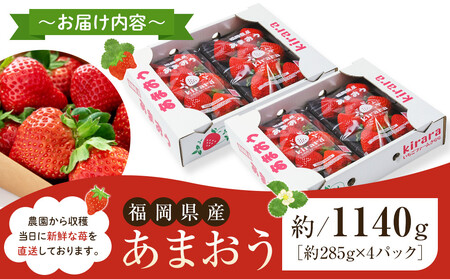 【先行予約 2026年1月以降発送】ふくおかエコ農産物認証!! あまおう 約1140g 約285g×4パック ＜筑前町＞
