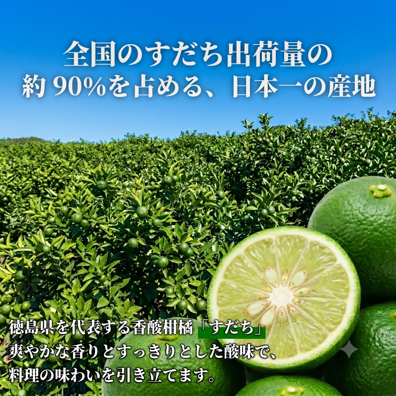先行予約 【12月中旬～2月中旬まで順次発送】すだち 貯蔵 選べる 1kg 柑橘 スダチ 果汁 フルーツ 果物 鍋 魚 豆腐 麺類 に合う 冷蔵 産地直送 国産 徳島県