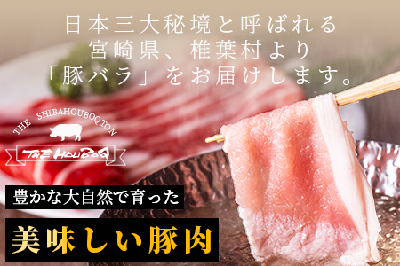 宮崎県産 THE HOUBOQ 至高の豚バラ 合計650g 安定の旨味[宮崎 椎葉村 豚肉 豚 肉 ぶた にく ぶたにく おにく お肉 豚バラ バラ ぶたバラ BBQ バーベキュー 美味い 日本三大秘