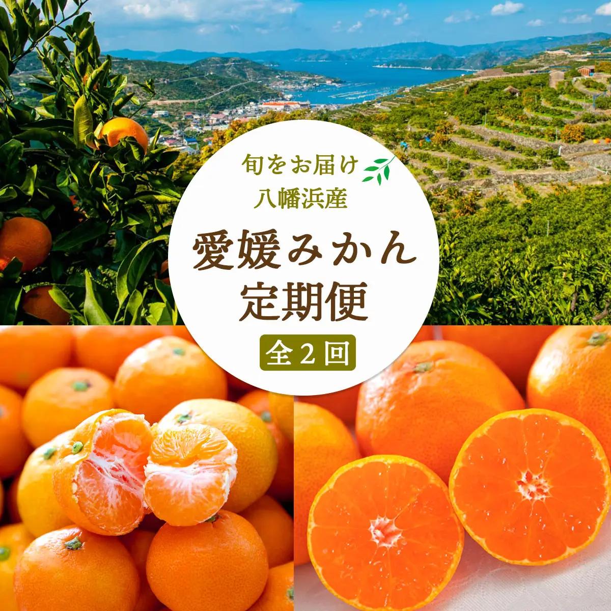 【発送月固定定期便】愛媛みかん5kg(秀)×愛媛みかん小玉6kg(訳)【F25-250】全2回【4070999】 YWTAP191