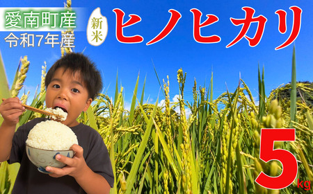 【 先行予約 】 新米 5kg 愛媛県 愛南町産 ヒノヒカリ 令和7年産 白米 精米 お米 ブランド米 送料無料 産地直送 自慢のお米 豊かな 甘み と 粘り ツヤ のある 美味しい ご飯 を ご家庭