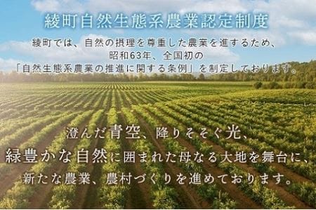 「お好きな時にいつでもお届け」旬のお野菜定期便【全6回】（53-32）