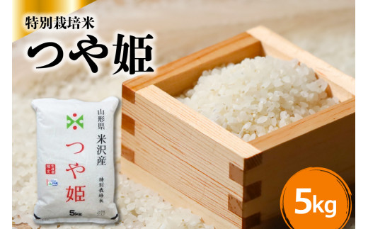 令和7年産 特別栽培米 つや姫 5kg × 1袋 山形県 米沢産 精米