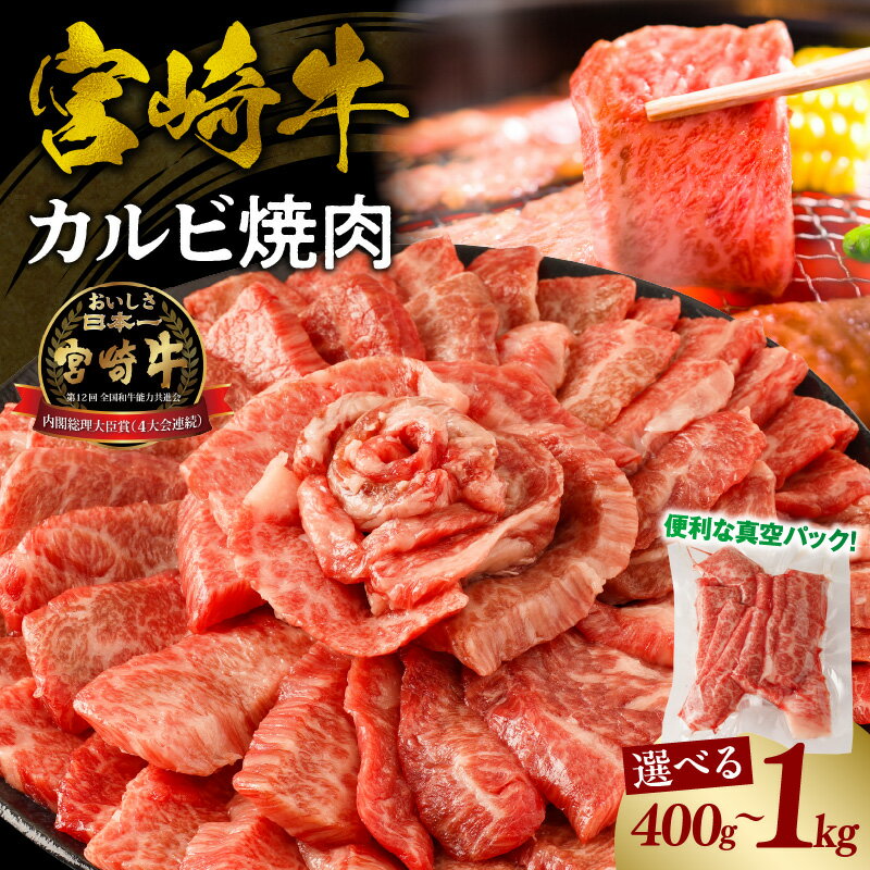 【ふるさと納税】【選べる内容量・発送時期】宮崎牛 カルビ(バラ) 焼肉 牛肉 肉 お肉 精肉 カルビ焼肉 バラ肉 国産牛 和牛 ブランド牛 黒毛和牛 和牛 牛 BBQ アウトドア キャンプ 小分け パック 冷凍 真空パック 使い勝手 便利 宮崎市 送料無料《レビューキャンペーン》