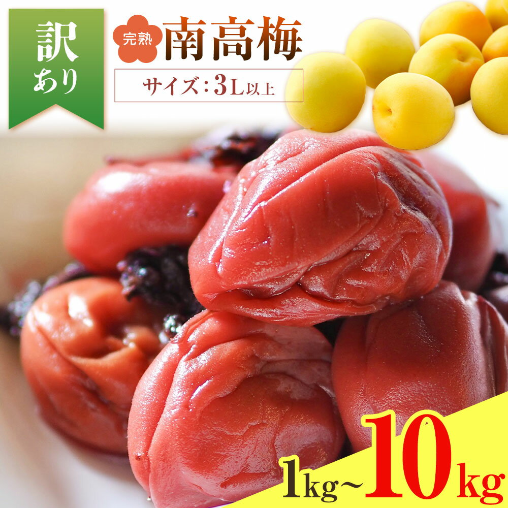 【ふるさと納税】紀州南高梅 訳あり(完熟) 3Lサイズ以上 選べる容量 1kg ~ 10kg 和歌山県産 株式会社農業福祉研究機構《6月下旬-7月上旬頃出荷》和歌山県 紀の川市 南高梅 完熟 梅干し 梅ジャム 特産 梅ジュース シロップ