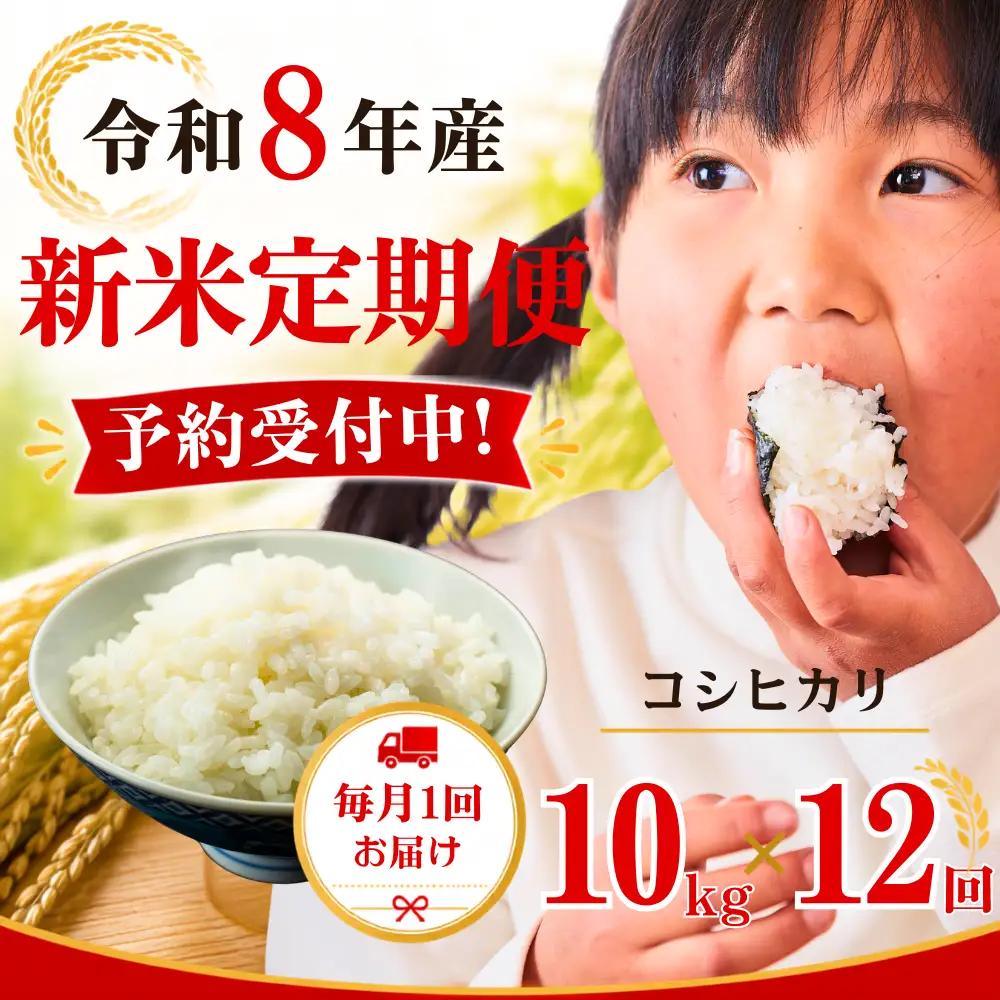 ５年連続完売のお米！ あわくら源流米 コシヒカリ 白米 10kg 【 12回 定期便 】 令和８年産 新米約 K-ag-DFDA