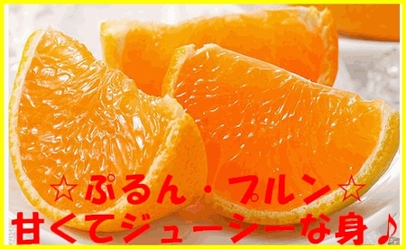 【ふるさと納税】和歌山県紀州 完熟みかん ミカン 蜜柑 プレミアム 赤秀品ランク 5kg(約30個)入り【stmr004】