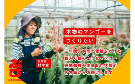 KY002 【ぷすぷす農園】宮古島産完熟マンゴー(家庭用／2キロ／農園直送)