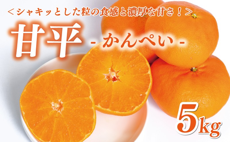 
                  数量限定 先行予約 甘平 5kg 18000円 かんぺい 高級 人気 ブランド プレミアム 産地直送 農家直送 愛媛 みかん mikan 蜜柑 ミカン 国産 期間限定 特産品 フルーツ 果物 柑橘 甘い おいしい お取り寄せ ギフト プレゼント お礼 渚のみかん園 愛南町 愛媛県
                