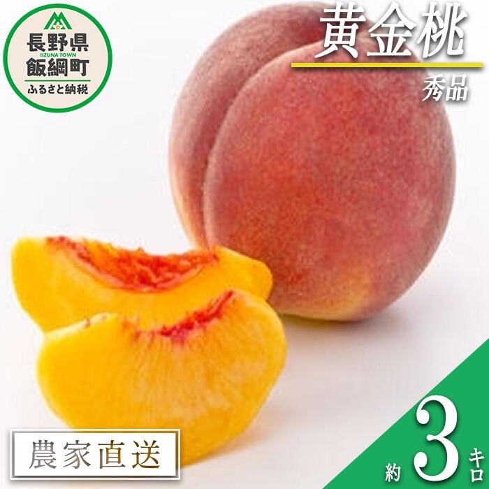 【ふるさと納税】 もも 完熟 黄金桃 秀品 3kg サイズおまかせ 井澤農園 配送先は本州限定 令和7年度収穫分 エコファーマー認定 長野県 飯綱町 〔 信州 果物 フルーツ 大玉 モモ 桃 長野 20000円 予約 農家直送 〕発送時期：2025年9月上旬〜2025年9月下旬