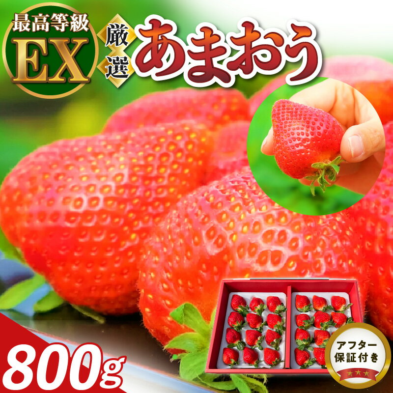 【ふるさと納税】福岡の最高級 あまおう 厳選 800g 採れたて いちご 最高等級 エクセレント 最高級 グレード 大きい 赤い 艶 畑の宝石 特別栽培 食べごろイチゴ 福岡県 久留米市 フルーツ 贈答用 ギフト 農家から直送 取り寄せ 送料無料