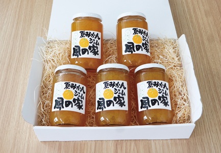 (10122)風の家 手作り 夏みかんジャム まとめ買いセット 大400g×5個 合計2kg おすそわけ 自家用 山口県産 夏みかん