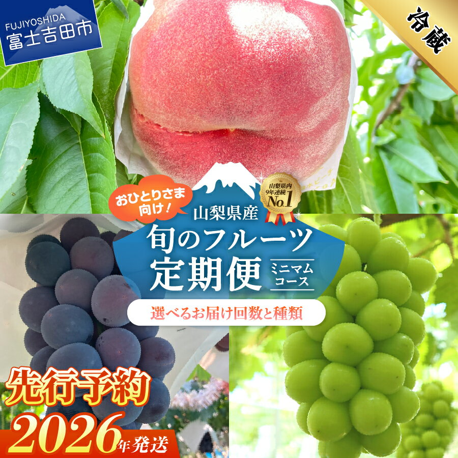 【ふるさと納税】 定期便 フルーツ 桃 シャインマスカット 黒ぶどう 【2026年先行予約】 山梨 2回 3回 2個 3個 1房 大玉3玉 白鳳 白桃 ブドウ 果物 くだもの 数量限定 期間限定 おひとりさま お試し 富士吉田市【2026年7月中旬頃～10月中旬頃まで順次発送】 自分へのご褒美