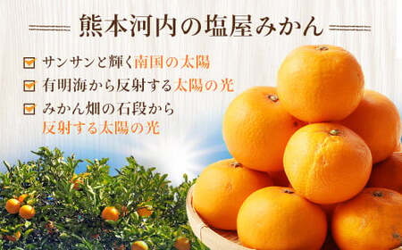 ＜2025年12月発送予定＞【不揃い】選べる 河内 塩屋みかん 5kg 青島みかん 熊本 国産 みかん 蜜柑 ミカン 果物 くだもの フルーツ 