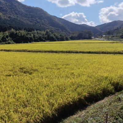 ふるさと納税 上郡町 【栽培期間中農薬不使用】『タガメの里・自然米』2025年産「にこまる」玄米5kg |  | 03