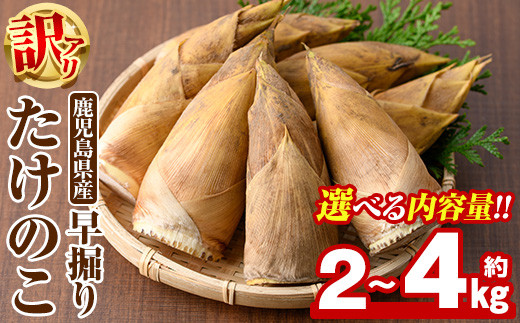 
            ＜先行予約受付中！2025年11月以降順次発送予定＞＜内容量が選べる＞訳あり！鹿児島県産 早掘りたけのこ(約2kg～4kg) 国産 野菜 たけのこ タケノコ 筍 旬 煮物 水煮 天ぷら つくだ煮【松永青果】
          