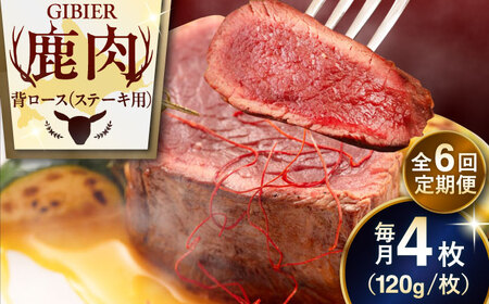【全6回定期便】鹿肉 背ロース 4枚  ジビエ 赤身 冷凍配送 北海道 [AJAO038]