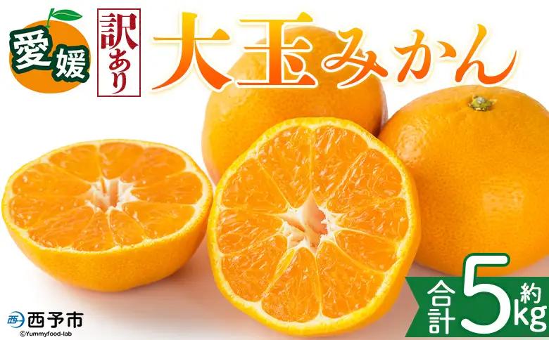 ＜【訳あり】愛媛県産 大玉みかん 約5kg＞『2026年11月上旬～1月下旬迄順次発送予定』わけあり 訳アリ 大きい おおだま みかん 蜜柑 果物 くだもの フルーツ ミカン 果汁 国産 特産品 株式会社三代目みかん職人 愛媛 西予市【常温】OSM0029