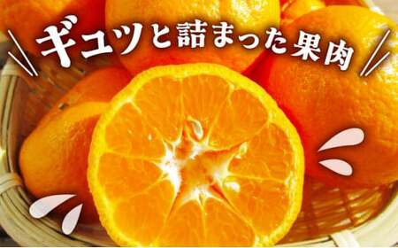 NT2-7-06【kg数が選べる】 ＜おまかせ　10kg＞