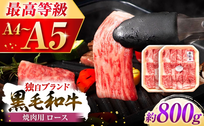 
                  フジチク 藤彩牛 ロース 焼肉用 約800g  /  黒毛和牛 肉 にく ロース A4 A5 ランク 熊本 菊陽 九州 冷凍 お取り寄せ 焼き肉用 人気 焼き肉 焼肉 焼肉用 800g 霜降りBBQ バーベキュー フジチク やわらかい サシ 赤身  アウトドアブランド牛 【株式会社フジチク】[BHAD118]
                