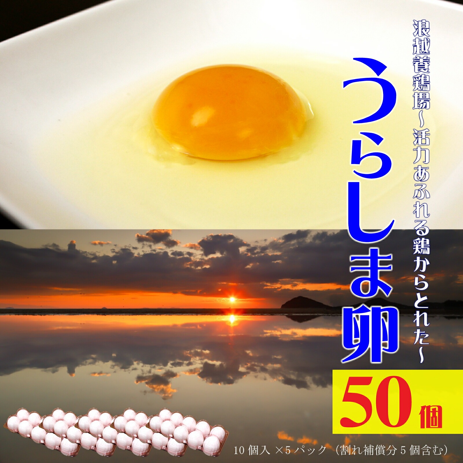 M95-0104_【ふるさと納税】 卵 新鮮【うらしま卵】～竜宮からの贈りもの～たまご５０個（45個＋割れ補償5個） [ うらしま卵 新鮮 卵 たまご 国産 鶏卵 浦島 産地直送 50個セット 割れ補償 高級 新鮮卵 産地直送 高級卵 栄養満点 黄身濃厚 たまごかけご飯 卵料理 ギフト館ふじむら ]