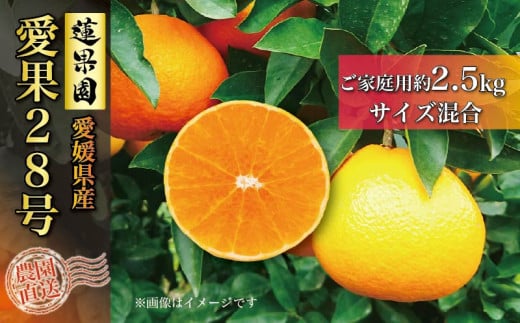 【先行予約】 【11月中旬から発送】 あいか ご家庭用 2.5kg 愛果28号 | 柑橘 みかん 果物 くだもの フルーツ おすすめ 高級 人気 お取り寄せ グルメ ギフト 期間限定 数量限定 ご当地 愛媛県 松山市