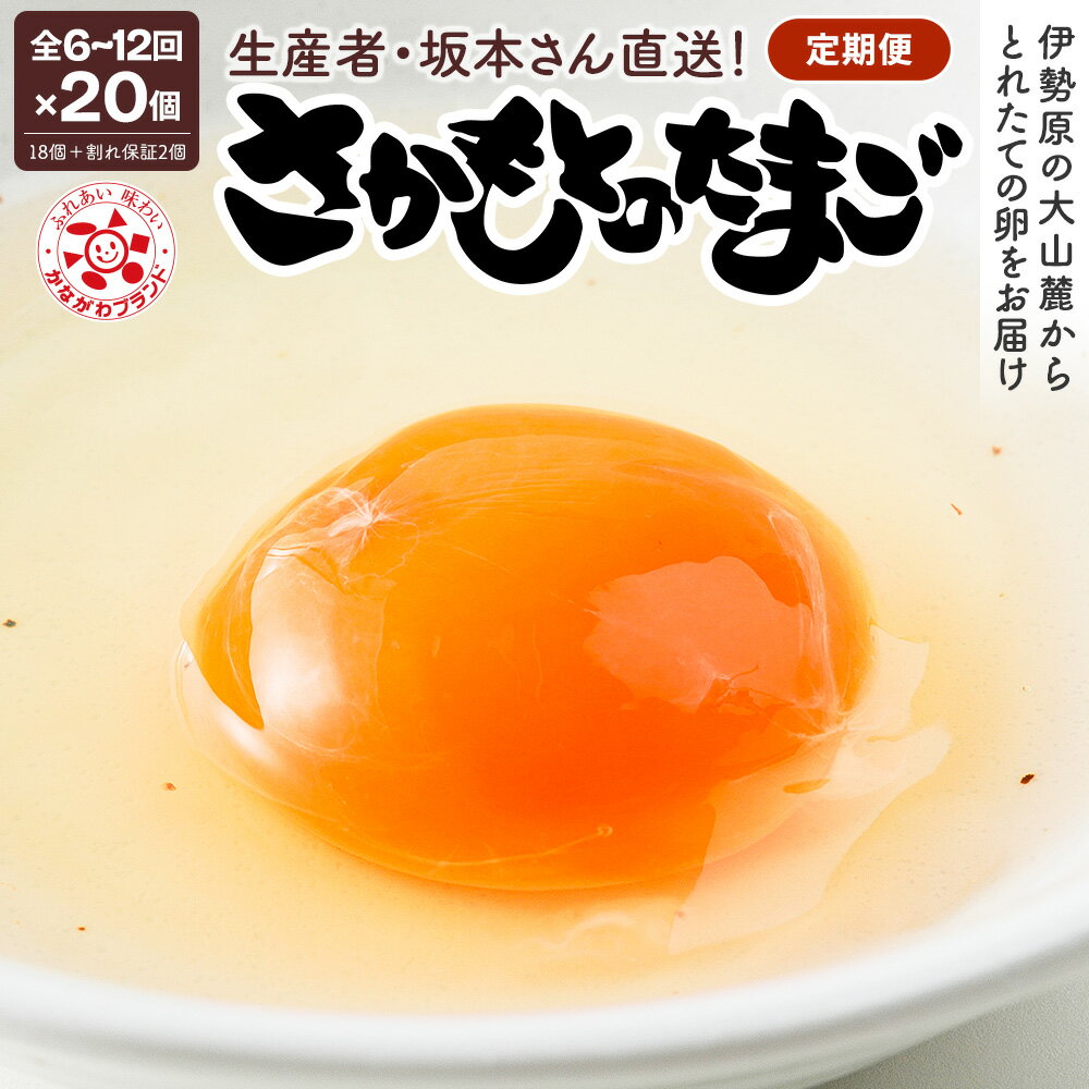 【ふるさと納税】[定期便 選べる回数：6ヶ月・12ヶ月／月1回・月2回]《2026年4月中旬より順次発送》さかもとのたまご 20個 (18個＋割れ保証2個) 合計120個or240個]｜坂本養鶏 大山の麓で育ったさかもとのたまご 赤玉卵 玉子 鶏卵 伊勢原市 赤玉卵 玉子 生卵 [0803-0807]