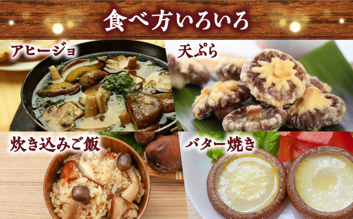 しいたけ【一度食べたら忘れられない】九州で唯一！ 希少な生椎茸 【優品】15枚セット / しいたけ 椎茸 生しいたけ しいたけ シイタケ 生シイタケ きのこ キノコ 茸  shiitake / 南島原