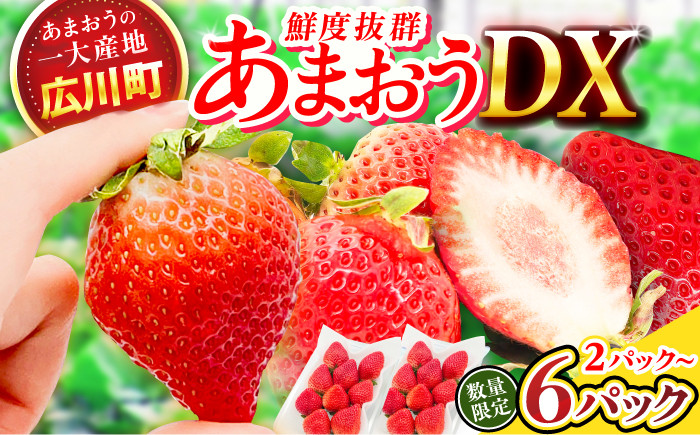 
            【★先行予約★　2026年2月より発送】【選べる容量】あまおうDX等級 約540g～約1.6kg いちご イチゴ 苺 フルーツ 果物 旬 福岡県産 小分け あまおう 博多 大きい 甘い 広川町 / JAふくおか八女農産物直売所どろや [AFAB004,072,073]
          