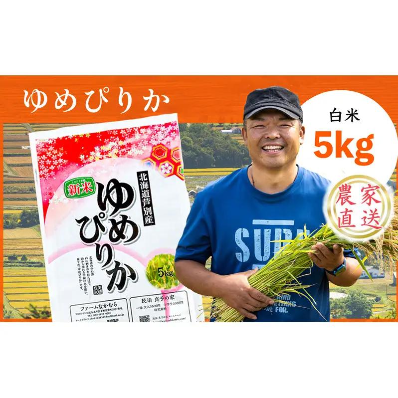 米 白米 精米 北海道産ゆめぴりか 令和7年産 5kg