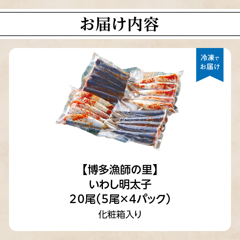 【博多漁師の里】福岡名物！いわし明太子２０尾（５尾×４パック）化粧箱入り 国産真いわし使用 化粧箱入り　国産真いわし使用 鰯 イワシ 旬 魚 めんたいこ ご飯のお供 おつまみ おかず 冷凍 真空パック