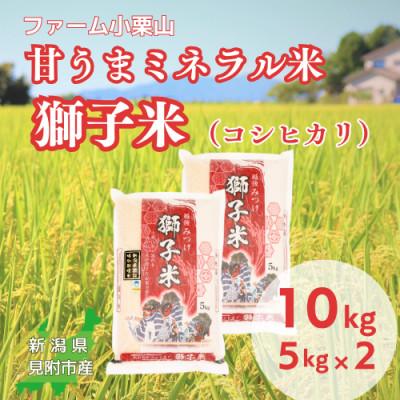ふるさと納税 見附市 【令和7年産】甘うまミネラル米 獅子米(コシヒカリ) 精米 10kg(5kg×2袋)