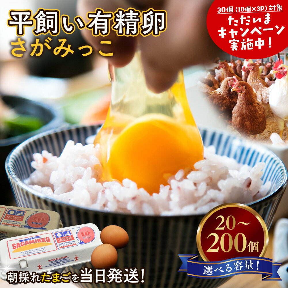 【ふるさと納税】井上さん家 こだわりたまご 平飼い有精卵さがみっこ《かながわブランド認定》 ｜ 神奈川県相模原市産 たまご 卵 鶏卵 玉子 たまご 生卵 平飼い ケージフリー 有精卵 国産 濃厚 コク 旨味 卵焼き たまごかけご飯 朝食 ご褒美 ※離島への配送不可
