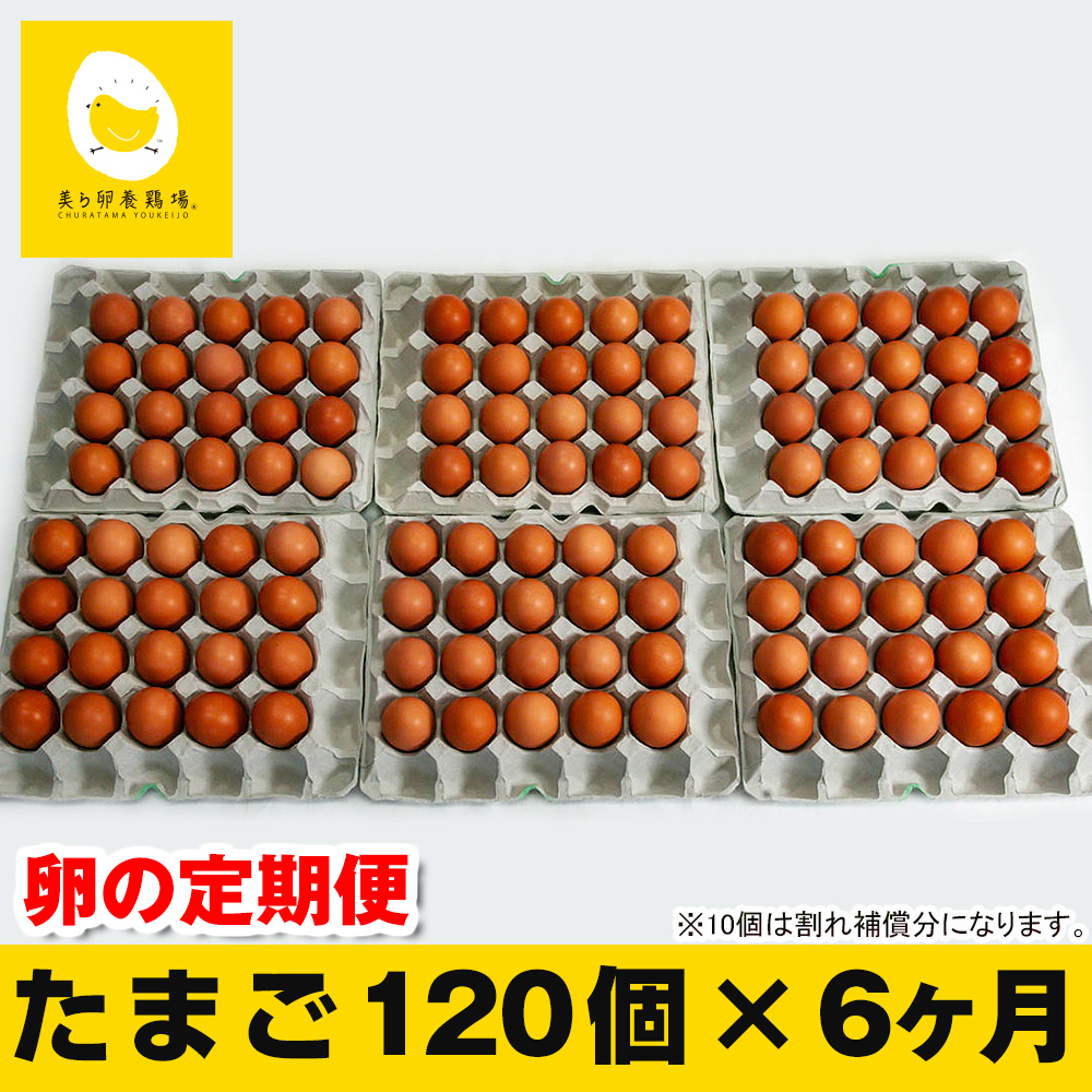 【定期便】6ヵ月連続お届け　美ら卵養鶏場の卵　各月120個
