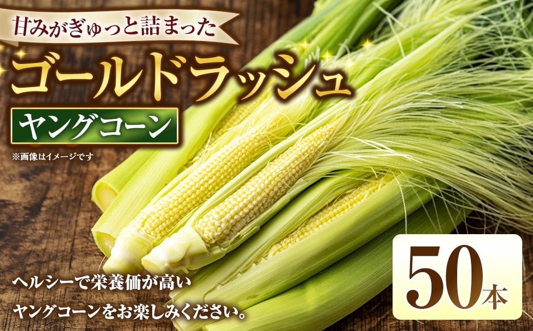 
                  ゴールドラッシュ ヤングコーン 50本 野菜 やさい とうもろこし トウモロコシ 皮付きヤングコーン ヘルシー スイートコーン 【 2026年6月上旬～7月下旬発送予定 】
                