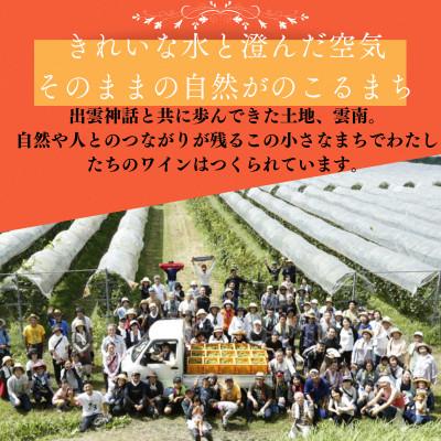ふるさと納税 雲南市 カベルネソーヴィニヨン・ロゼ 750ml×3本 ミディアムボディ |  | 01
