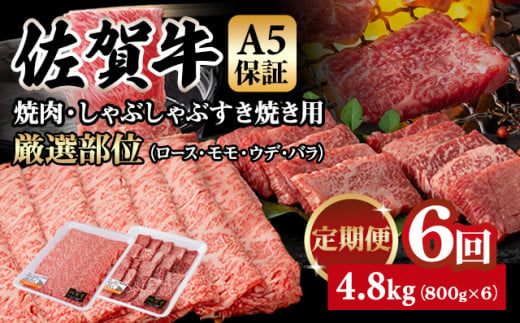 【定期便】佐賀牛 A5  焼肉・しゃぶしゃぶすき焼き 厳選部位 合計800g（400g x 各1P）6回定期 計4.8kg(800gx6) 桑原畜産 小分け ブランド牛 黒毛和牛 人気 高評価 佐賀県 小城市