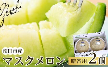 高知県南国市産／贈答用マスクメロン（2個）【メロン フルーツメロン くだもの メロン デザート メロン 高評価 メロン 厳選 メロン 高級 メロン ギフト メロン 贈り物 メロン  人気 おすすめ】