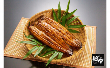 大人気！鯉家の極上蒲焼「大トロうなぎ270g (2尾セット/九州産/備長炭手焼き)」【国産】 1661-1