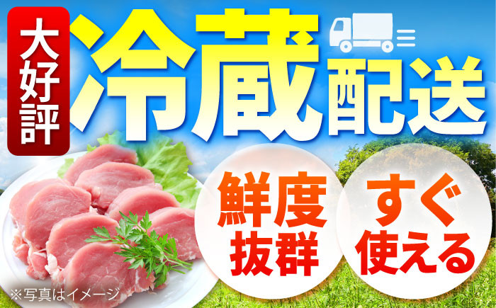国産 三元豚 豚肉 豚ヒレ肉 ひれ ヒレ肉 切り落とし トンカツ とんかつ