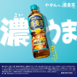 やかんの濃麦茶 from 爽健美茶 600mlPET×24本