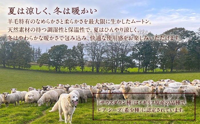 ムートン 羊 羊毛 天然素材 インテリア マット 足寄町 北海道