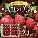 【ふるさと納税】【先行予約/2024年12月配送開始】希少品種 黒いちご 真紅の美鈴 4L24粒入り／ 真紅の美鈴 苺 粒 濃厚 果汁 希少 しんくのみすず いちご イチゴ 美味しい 贈答 ギフト お取り寄せ 送料無料 千葉県 SMAN003