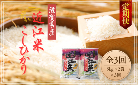 【3ヵ月定期便】【7年産】 こしひかり 10kg×3回コース【計30kg（5kg×2袋×3回）】ふるさと 定期便 【T033W2】 5kg 2袋 コシヒカリ 